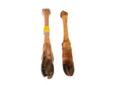 Os de cerf  VE   10 