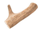 Bois de cerf XL 150-224g  VE   6 